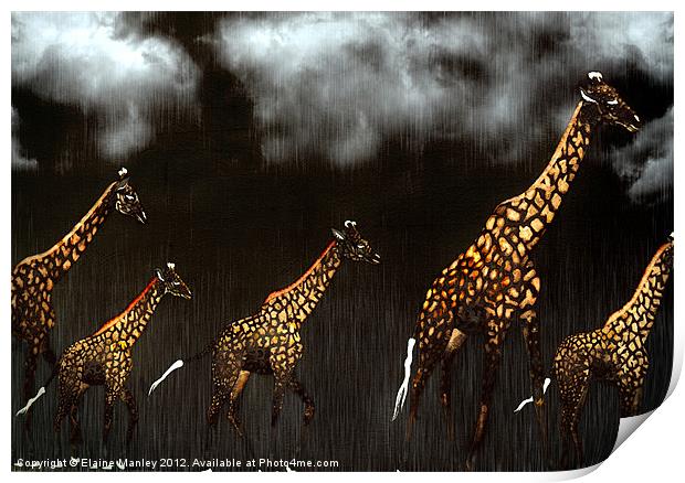 Giraffe Print by Elaine Manley