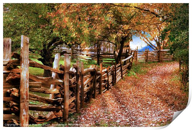 Autumn Walkway Print by Elaine Manley