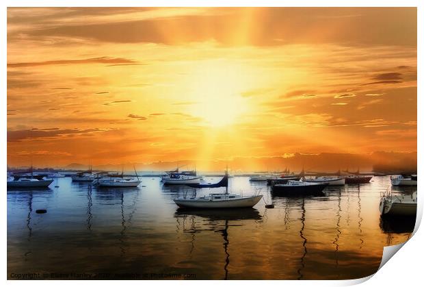 Harbour  Sun Print by Elaine Manley