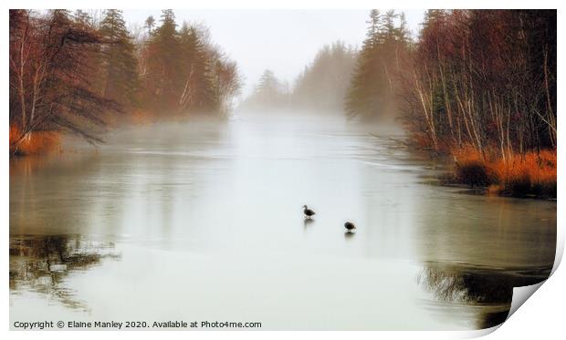 Ducks on Frozen Pond Print by Elaine Manley