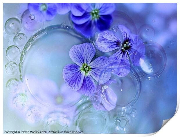 Oil and Water with flowers Print by Elaine Manley