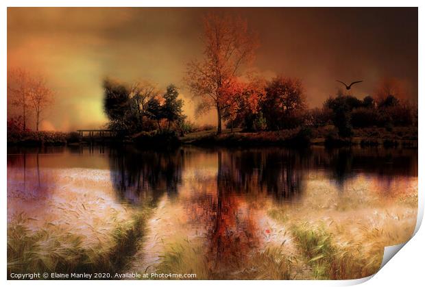 Autumn Splendor 2 Print by Elaine Manley