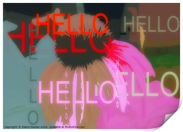 Hello Print by Elaine Manley