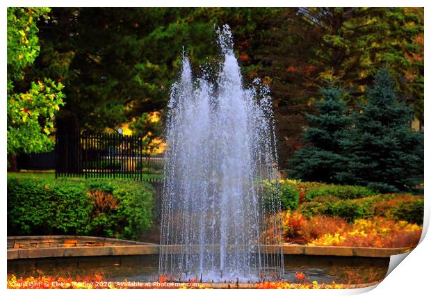 The Water Fountain Print by Elaine Manley