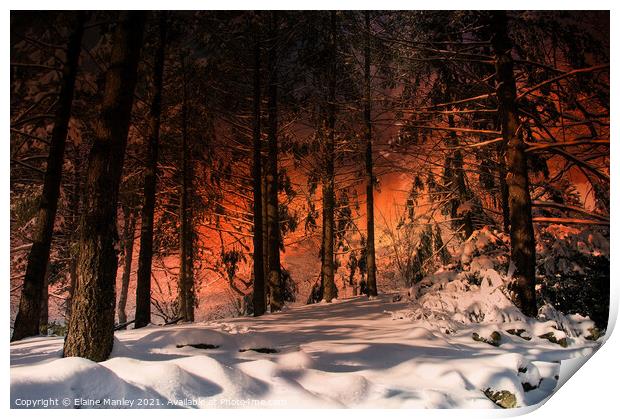 Winter Sunset Print by Elaine Manley