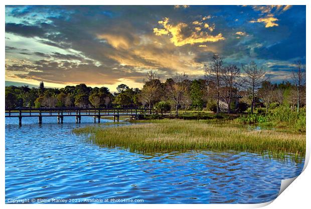 Bridge Over the Alligator Pond in Florida  US Print by Elaine Manley