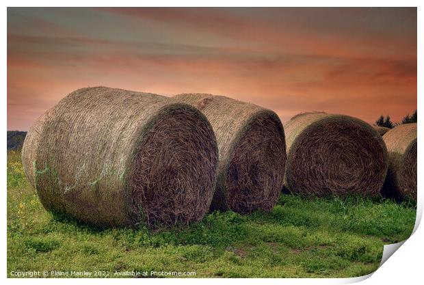Bales of Hay  Print by Elaine Manley