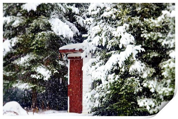 Outhouse in the Snow....  misc  Print by Elaine Manley