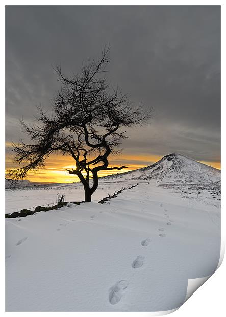  Roseberry Topping, Winter Sunset, Teesside Print by Greg Marshall