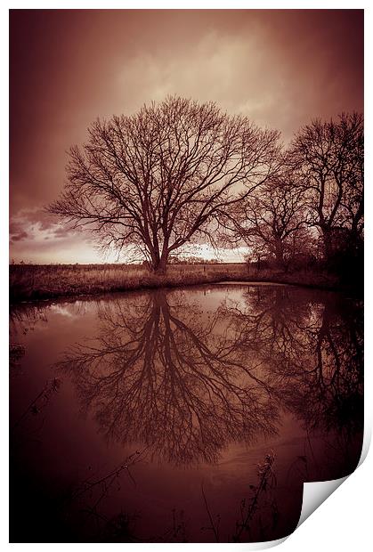 Sleepy Hollow Red Tree Reflection Print by Greg Marshall