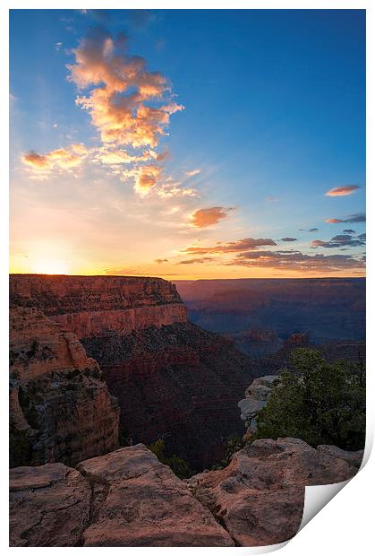 Grand Canyon Sunset Print by Greg Marshall
