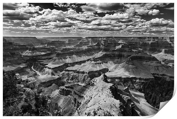 The Grand Canyon Arizona USA Print by Greg Marshall