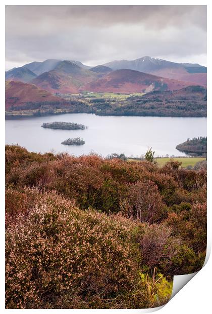 View of Cat Bells, Robinson, Dale Head and other W Print by Greg Marshall