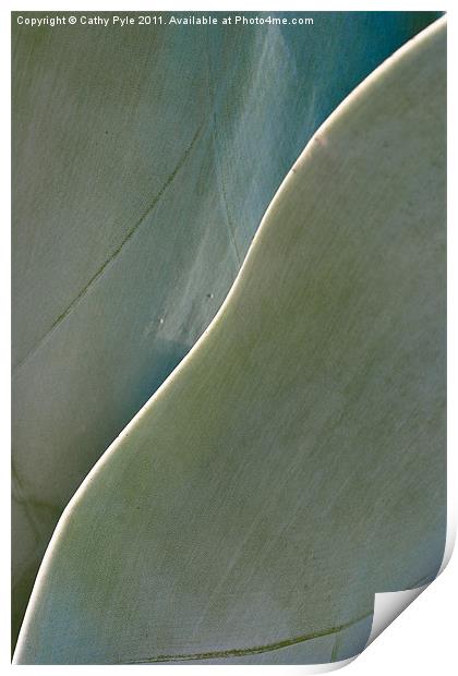 Cactus leaves Print by Cathy Pyle