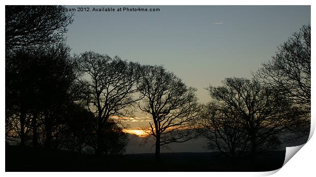 Sunrise Silhouettes Print by Phil Wareham