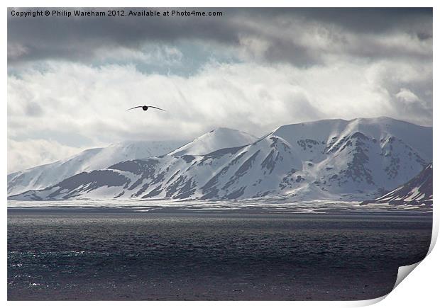 Flying in the Arctic Print by Phil Wareham