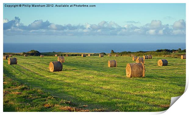 Hayfield Print by Phil Wareham