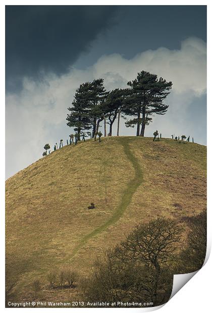 Trees on a hilltop Print by Phil Wareham