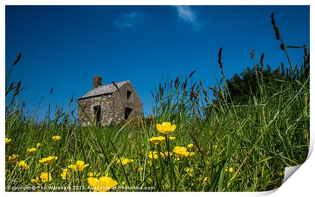 Buttercups and Ruin Print by Phil Wareham