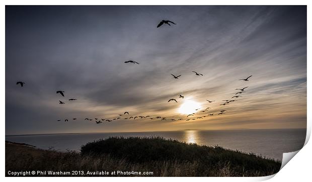 Flying into the sunrise Print by Phil Wareham