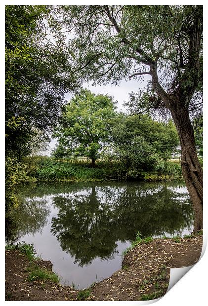 Stour Valley Nature Reserve Print by Phil Wareham
