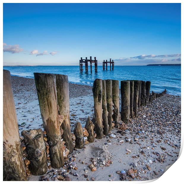 Lepe Dolphins Print by Phil Wareham