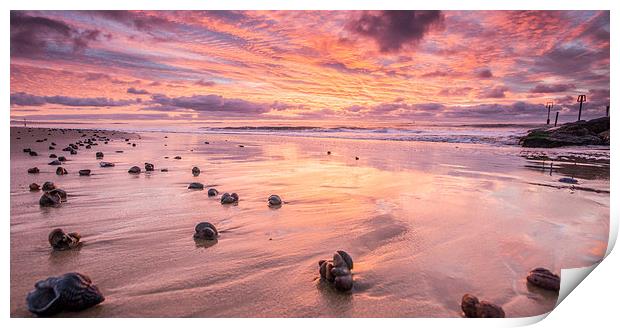 Sunrise and seashells Print by Phil Wareham