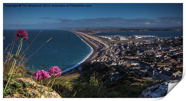  Chesil beach Print by Phil Wareham