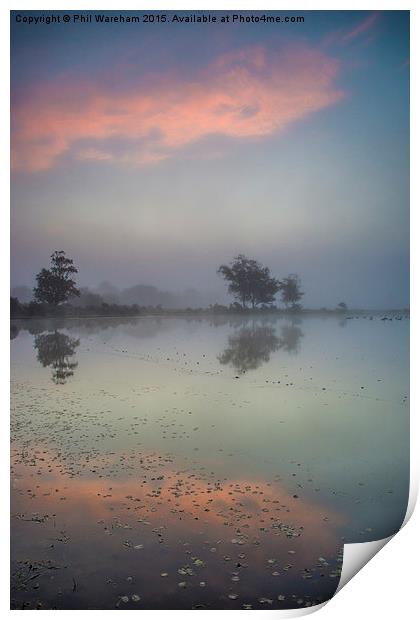  Whitten Pond Burley Print by Phil Wareham