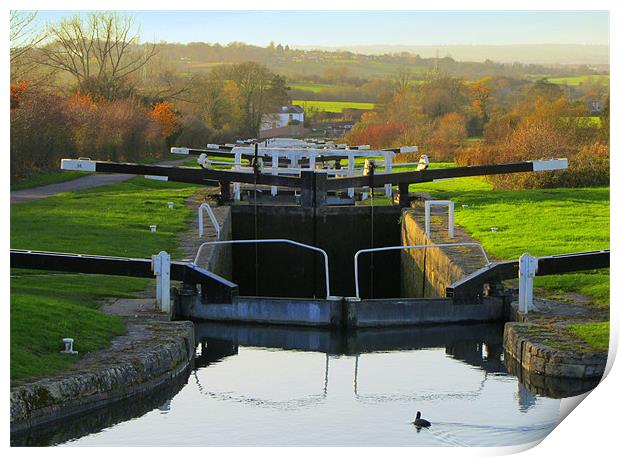 Caen Locks Print by Jane Chivers