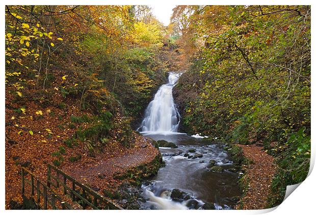 Glenoe Falls in Autumn Print by Paul Evans
