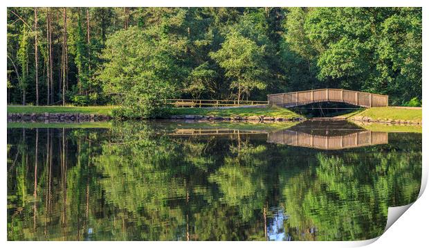 Footbridge Reflections Print by David Tinsley