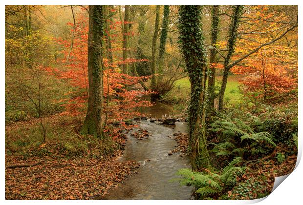 Autumn at Wenchford Print by David Tinsley