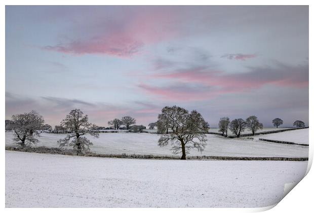Winter Sunset Print by David Tinsley