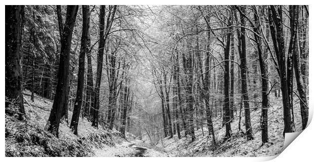 Winter Woodland Panorama Print by David Tinsley