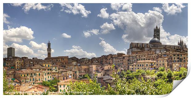 Siena Print by David Tinsley