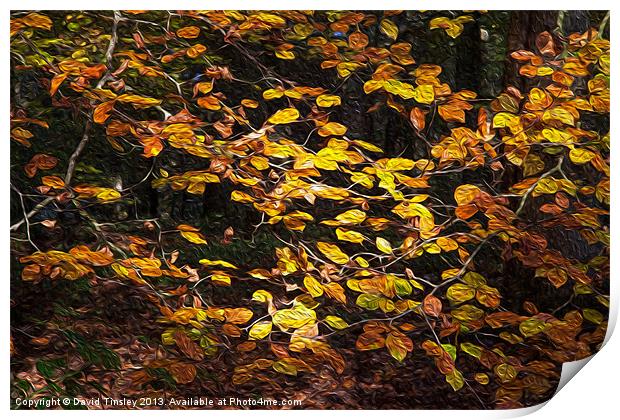Autumn Leaves Print by David Tinsley
