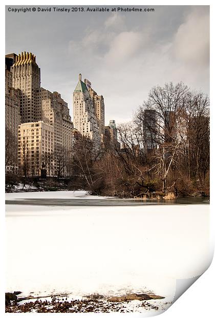 Central Park South Side Print by David Tinsley