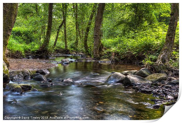 Summer Stream - I Print by David Tinsley