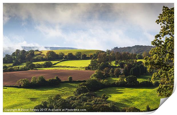 Englands Pastures Green Print by David Tinsley