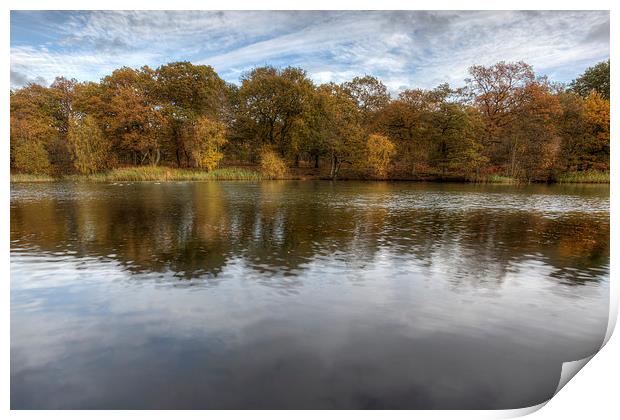 Autumn Ponds - 1 Print by David Tinsley