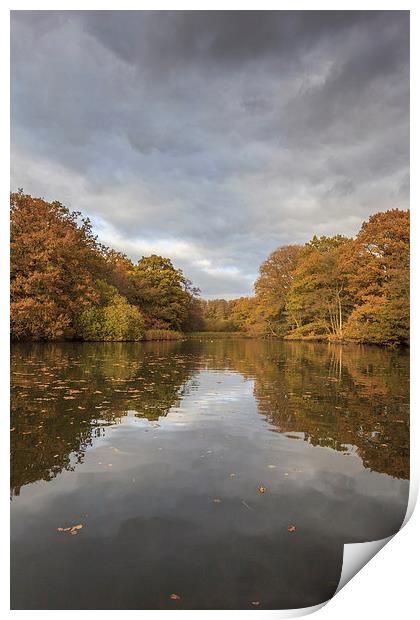 Autumn Ponds - 3 Print by David Tinsley