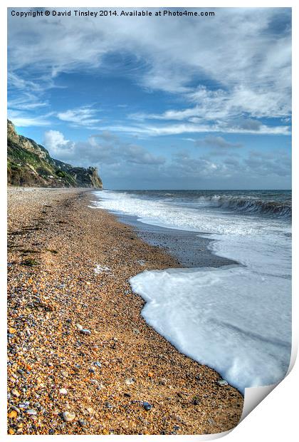  Branscombe Beach Print by David Tinsley