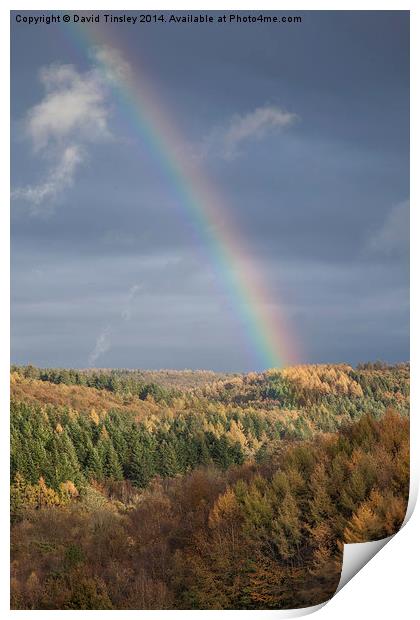  Rainbows End Print by David Tinsley