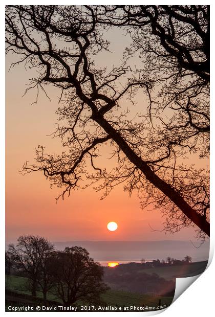 Severn Reflected Print by David Tinsley