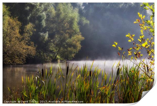 Autumn Mist at Mallards Pike Print by David Tinsley