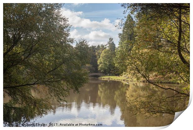Early Autumn Reflections Print by David Tinsley