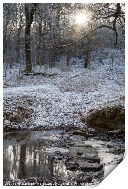 Stepping Stones Print by David Tinsley