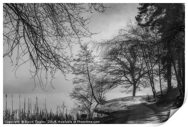 Winter Mist at Mallards Pike Print by David Tinsley