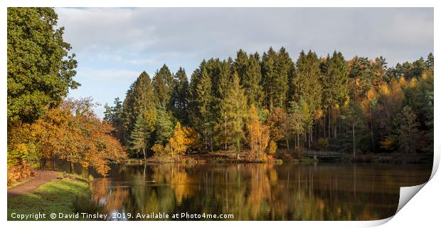 Early Autumn Reflections Print by David Tinsley